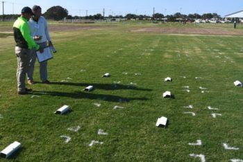 researchers look over turfgrass plots where spent coffee grounds are being tested as a fertilizer