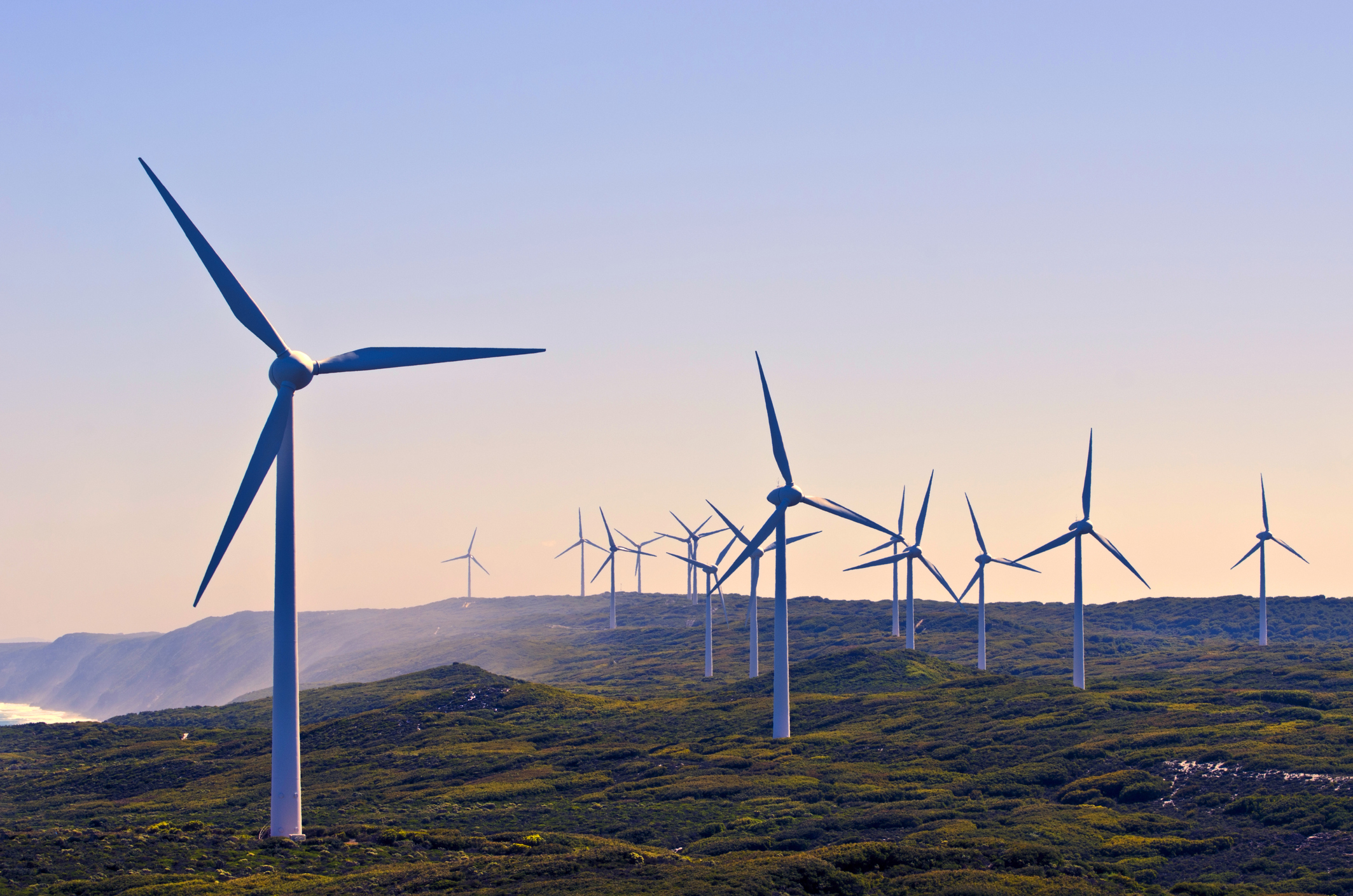 wind turbine blades