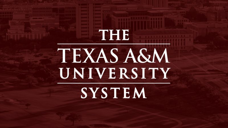 texas a&m university system graphic