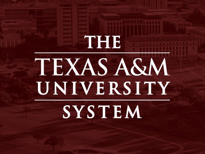 texas a&m university system graphic