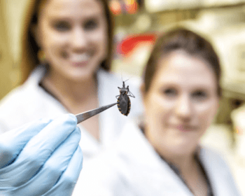 Dr. Sarah Hamer and doctoral student Alyssa Meyers show off a kissing bug, which is responsible for the spread of Chagas disease.