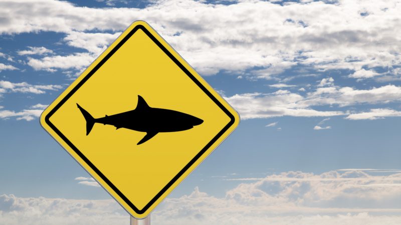 shark crossing sign