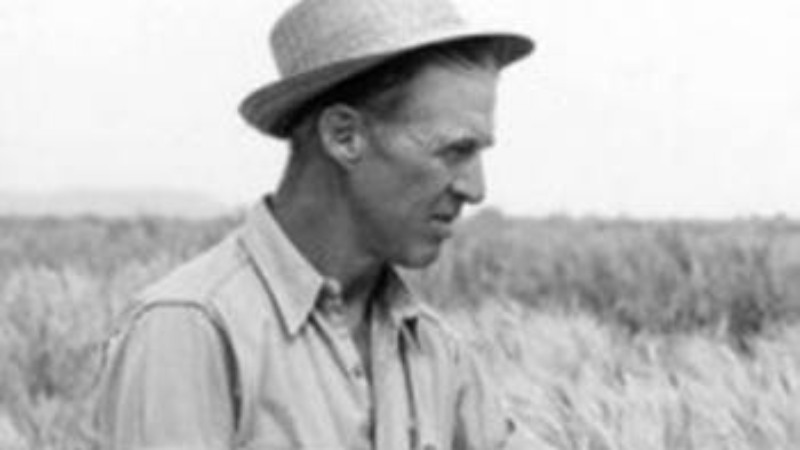 norman Borlaug