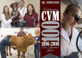 CVM 100 years