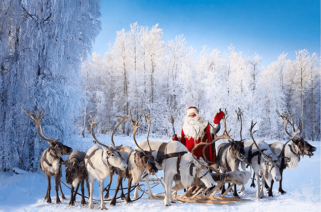 Reindeer, selling Christmas animal, Reindeer sleigh, Christmas reindeer