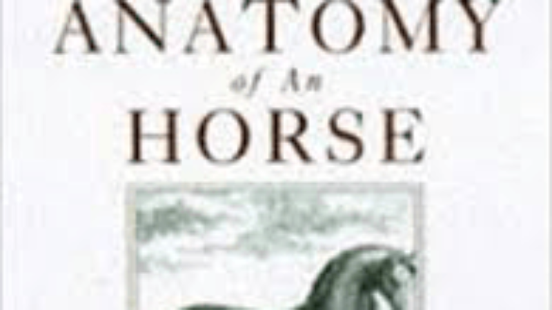 The Anatomy of a Horse, by Andrew Snape