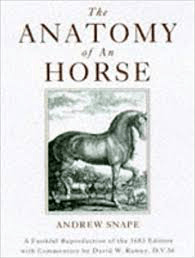 The Anatomy of a Horse, by Andrew Snape