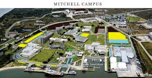 Mitchell campus - Galveston - pelican island 