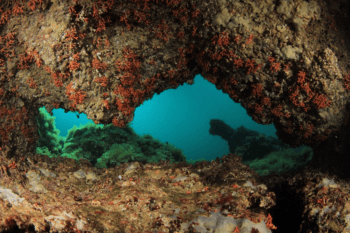 underwater features