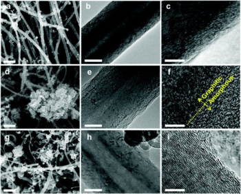 cells of carbon nanotube sponges