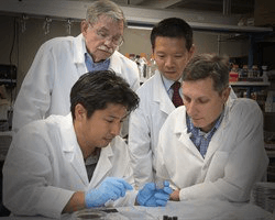 Researchers with a tissue chip.
