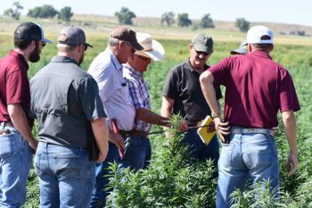 Texas A&M AgriLife Extension Service agents take a soil moisture measurement