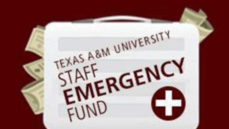 staff emergency fund graphic