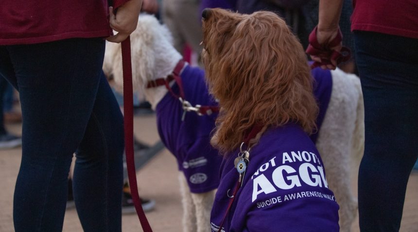 Dog in t-shirt at 2019 ‘Not Another Aggie’ Suicide Awareness Walk