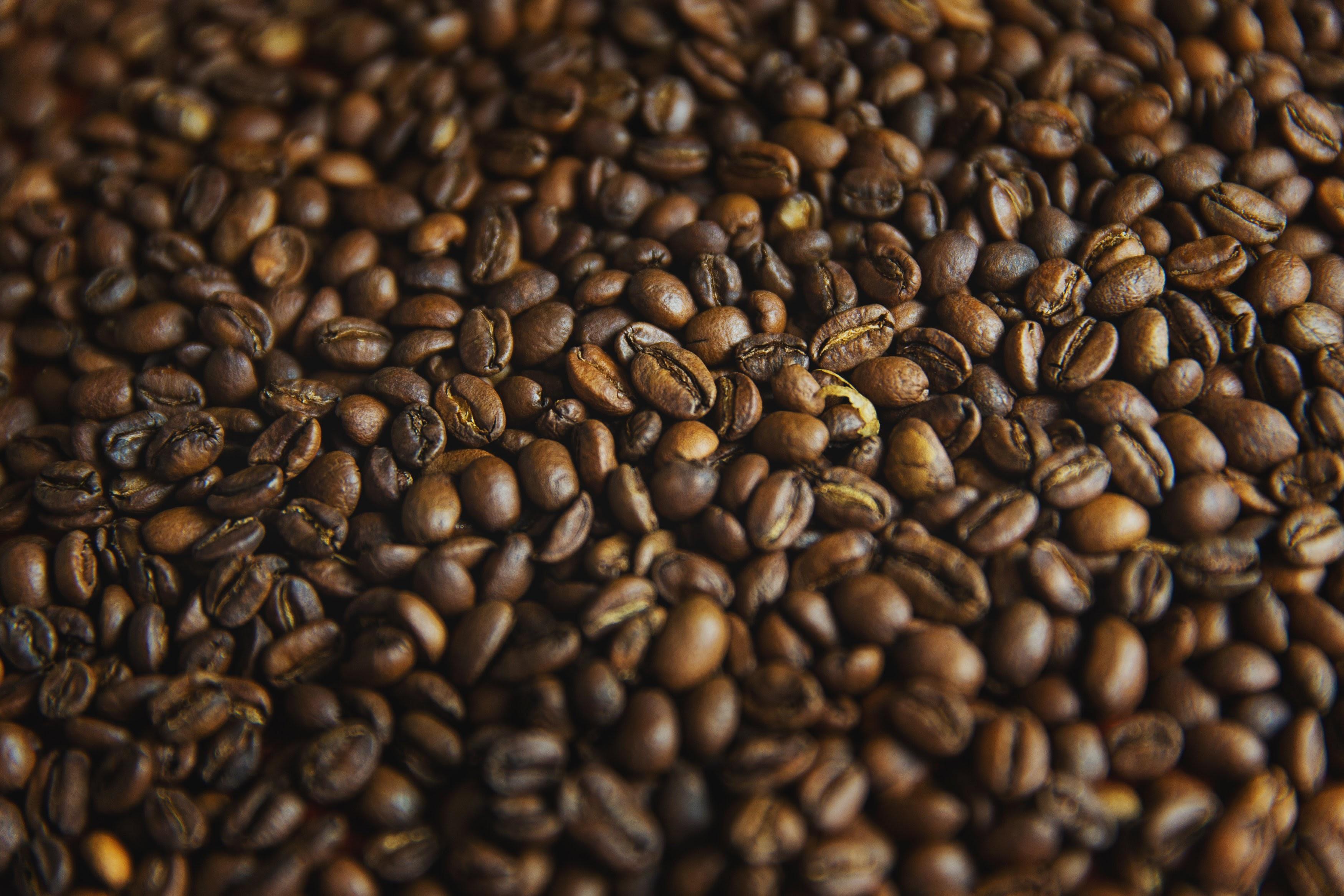 How To Brew The Perfect Cup Of Coffee - Texas A&M University