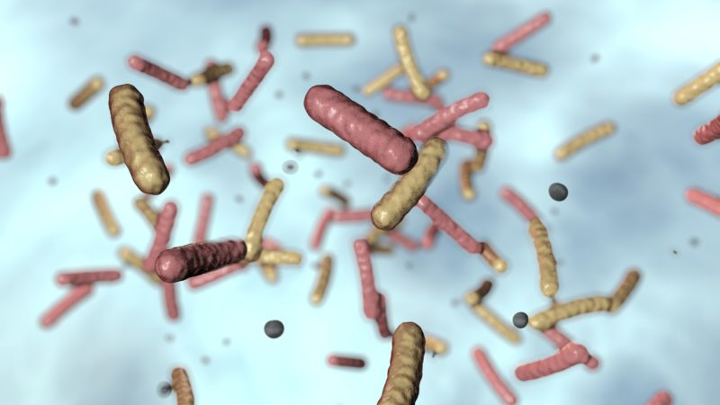 Computer illustration of bacteria in water
