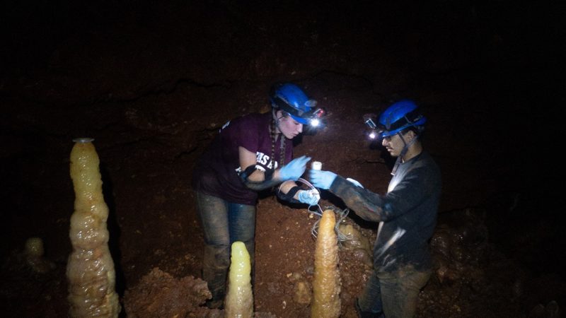 undergraduate students, collecting and monitoring samples and data in a cave.