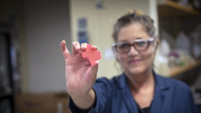 Texas A&M chemist Karen Wooley, holding a Texas-shaped sample of her team's biodegradable natural polymer