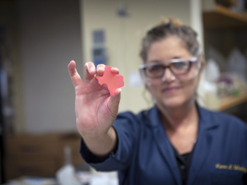 Texas A&M chemist Karen Wooley, holding a Texas-shaped sample of her team's biodegradable natural polymer