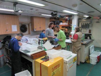 Researchers catalog specimens aboard a research vessel.
