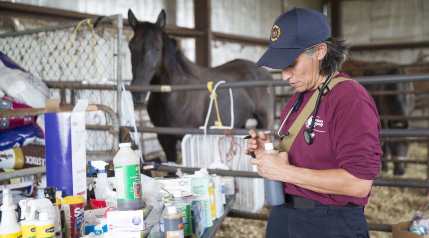 Veterinary Emergency Team member writes on container with horse in background