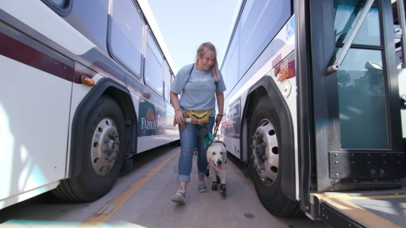 Student dog trainer steps onto bus with service dog