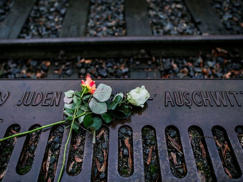 Roses left by mourners lie next to one of the many plaques detailing transports of Berlin Jews to concentration camps