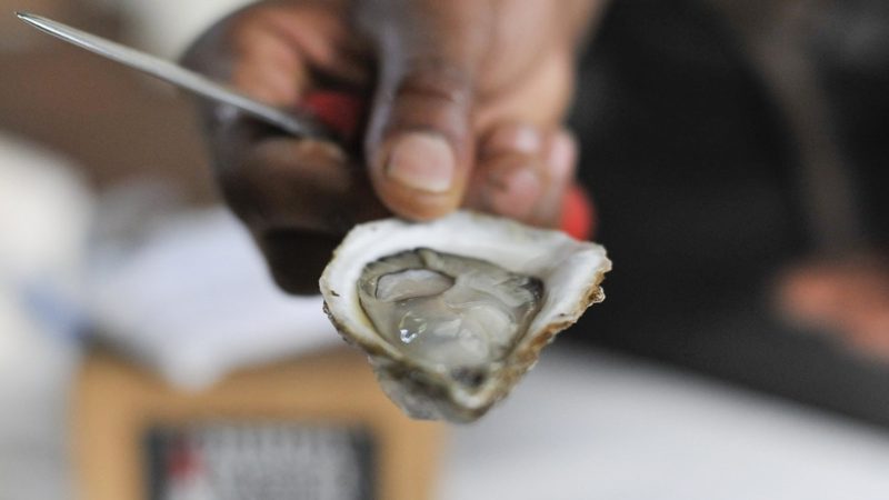 A picture of a person's hand holding an oyster