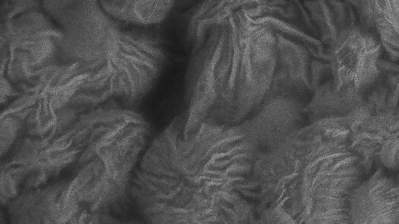 Electron micrograph showing ridges and grooves on MAP hydrogel microbeads caused by developing stem cells.