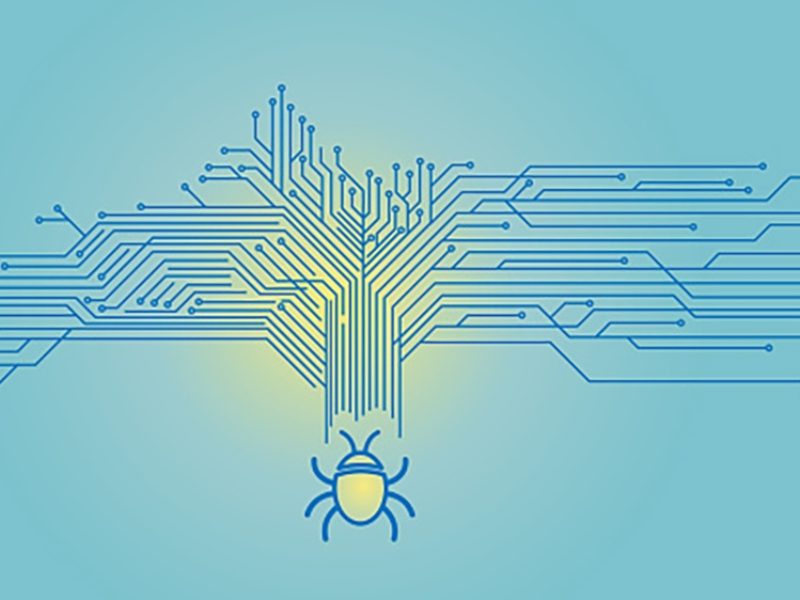 Computer bug on a blue network circuit
