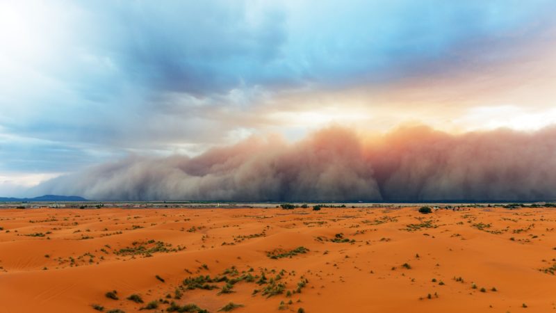 sandstorm moving across a desert