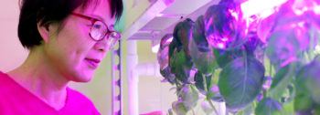a woman peers into a rack of plants in a room with purple lighting