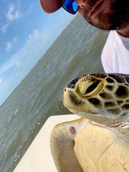 a man holding a sea turtle with the ocean in the background