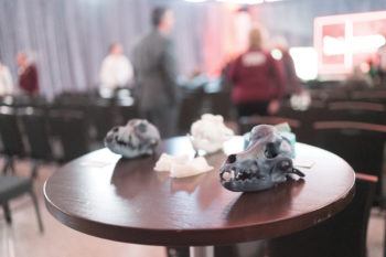 a 3-d printed skull sitting on a table