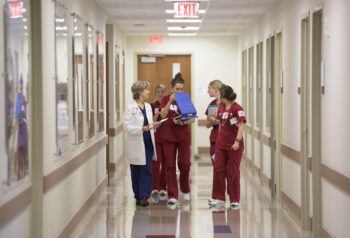 students in maroon scrubs and doctor in white lab coat walking down hall of hospital