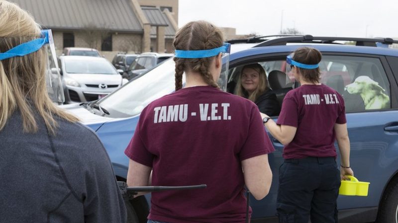 people wearing maroon vetmed shirts wearing protective masks talk to a woman in a car