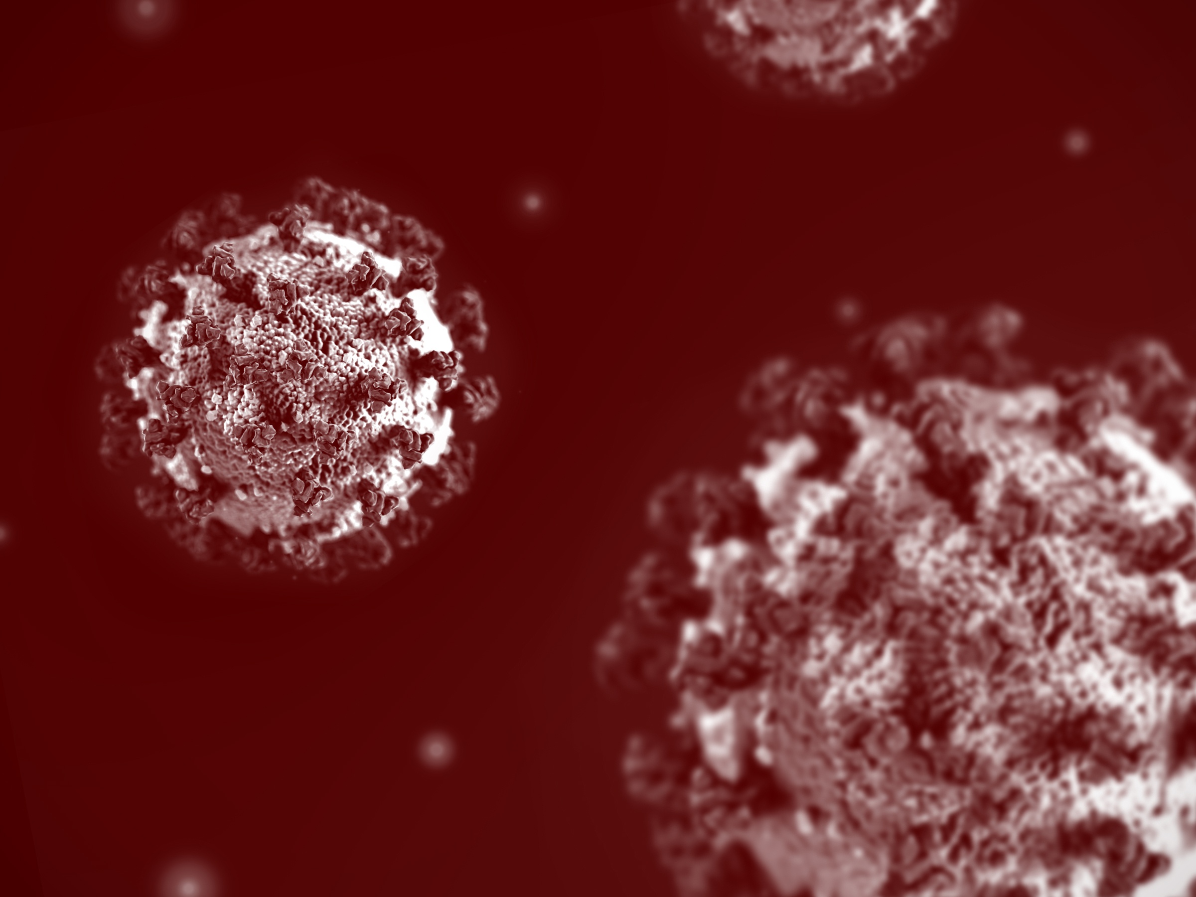 maroon and white art based on image of coronavirus