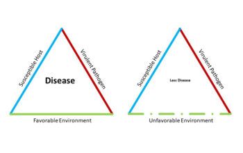 diagram of plant disease triangle