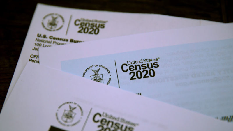 u.s. census materials