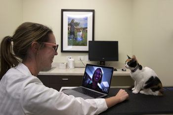 a veterinarian talks to a woman on a computer screen as a cat sits next to her on a table