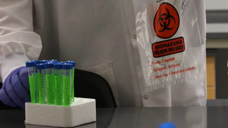 person wearing lab coat and gloves picks up test tubes to place in biohazard bag