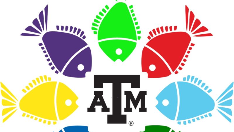 the Fish Camp logo