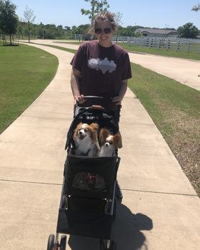 student walking outside pushing two small dogs in a stroller