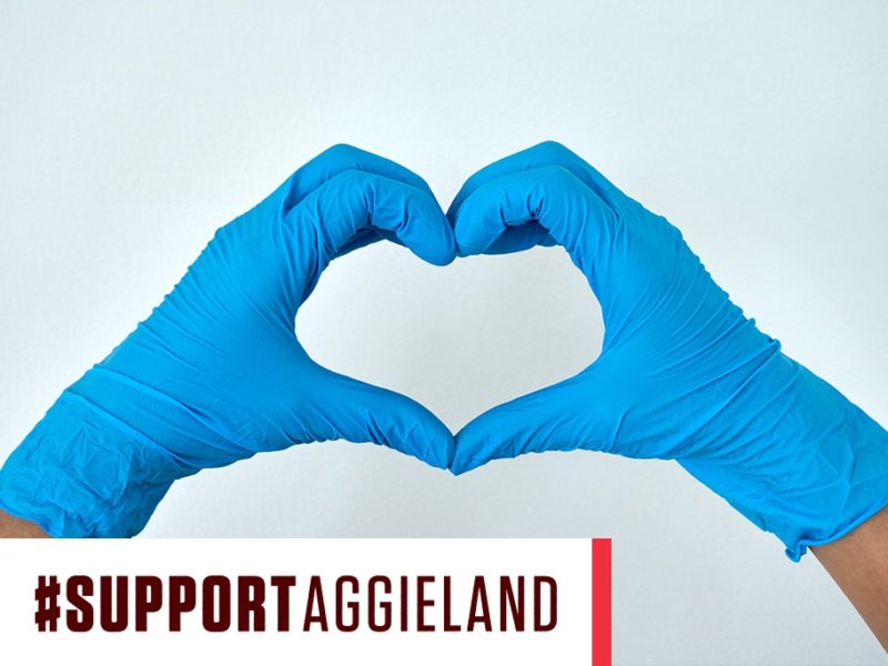 support aggieland heart hands graphic