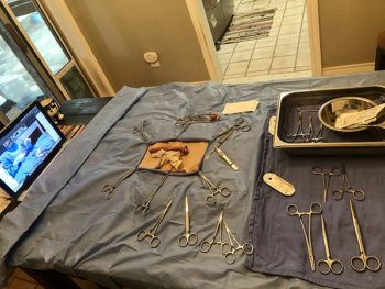 A veterinary student’s at-home surgery setup with a synthetic model