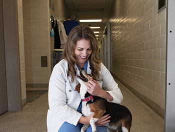 doctor kneeling in a hall petting a beagle