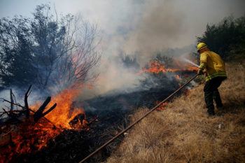 a firefighter stands in a field putting out a wildfire