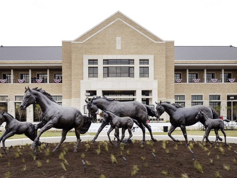 view of the outside of the Veterinary and Biomedical Education Complex (VBEC)