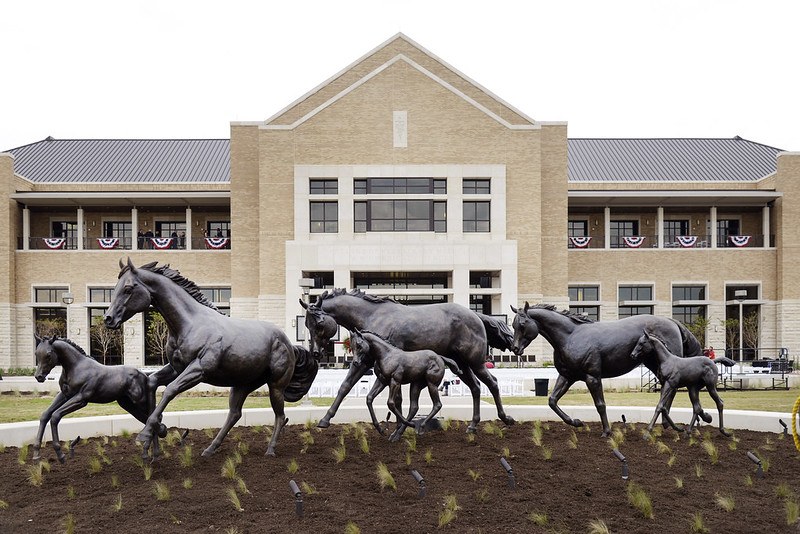 Texas A&M Welcomes Nation’s Largest Incoming Veterinary Class