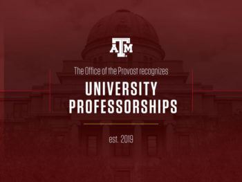 a graphic reading University Professorships